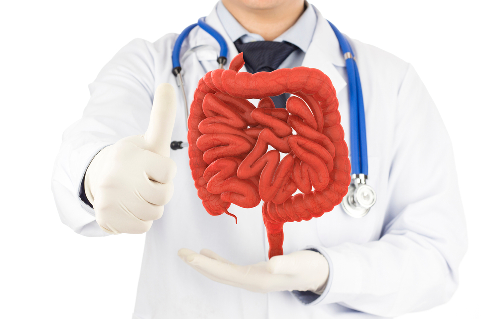 ibd akademija udruzenje edukacija gradjana