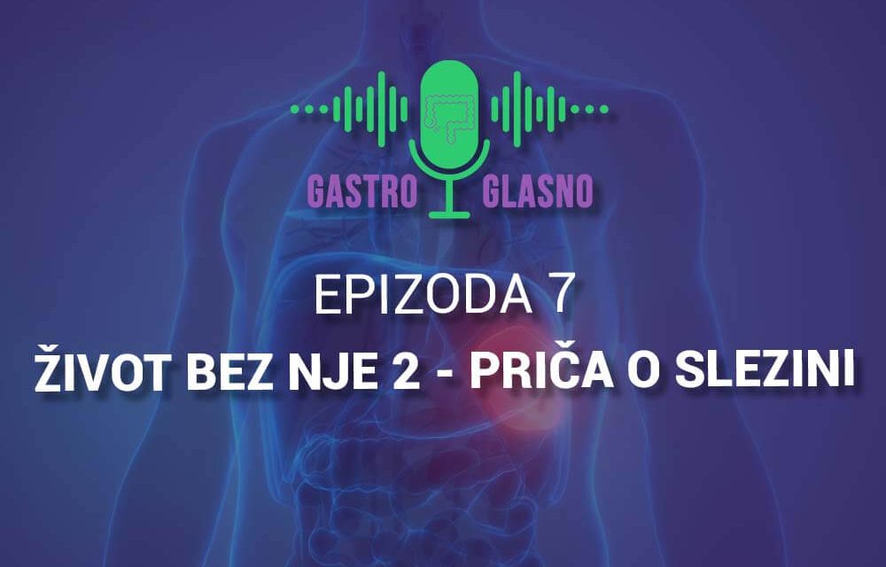 Život bez nje 2 – Slezina u fokusu savremene medicine